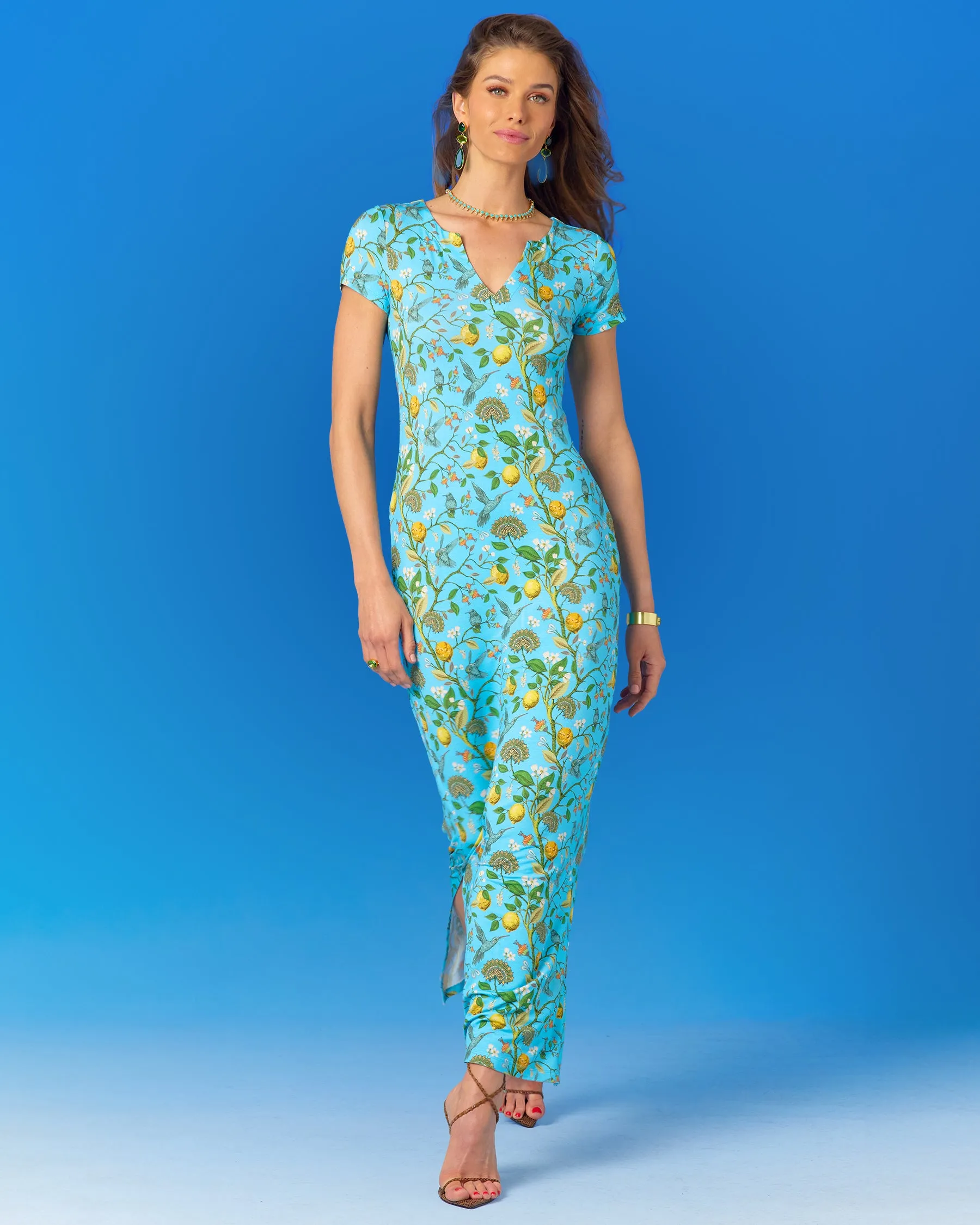 Flora Long Stretch Dress in Turquoise Hummingbird Print