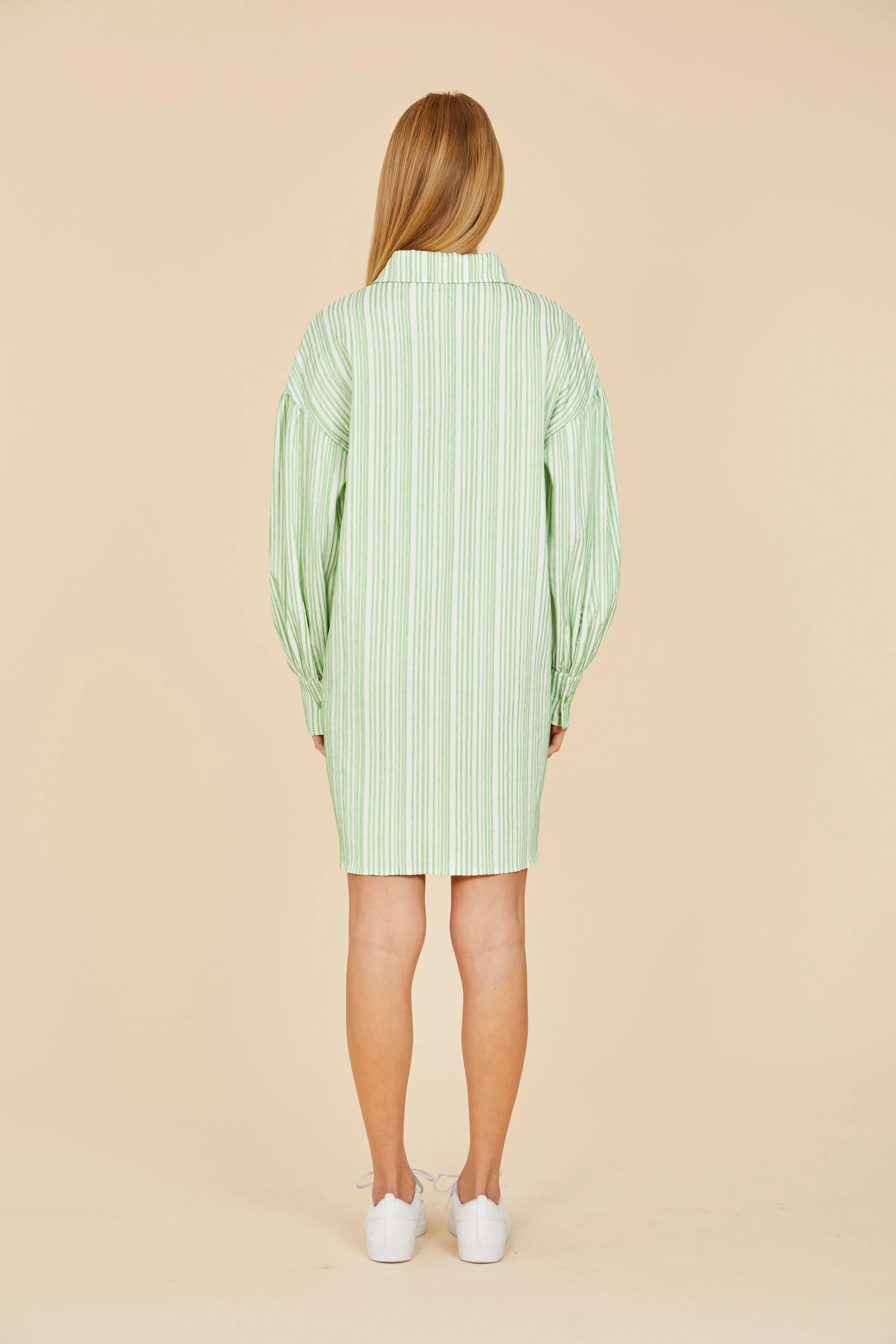 Striped Balloon Sleeve Shirt Dress